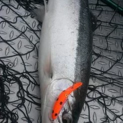 Addicted Fishing Addicted Steelhead Blend Oil Fishing Scents & Egg Cures