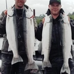 Addicted Fishing Addicted Steelhead Blend Oil Fishing Scents & Egg Cures