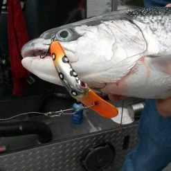 Addicted Fishing Addicted Steelhead Blend Oil Fishing Scents & Egg Cures