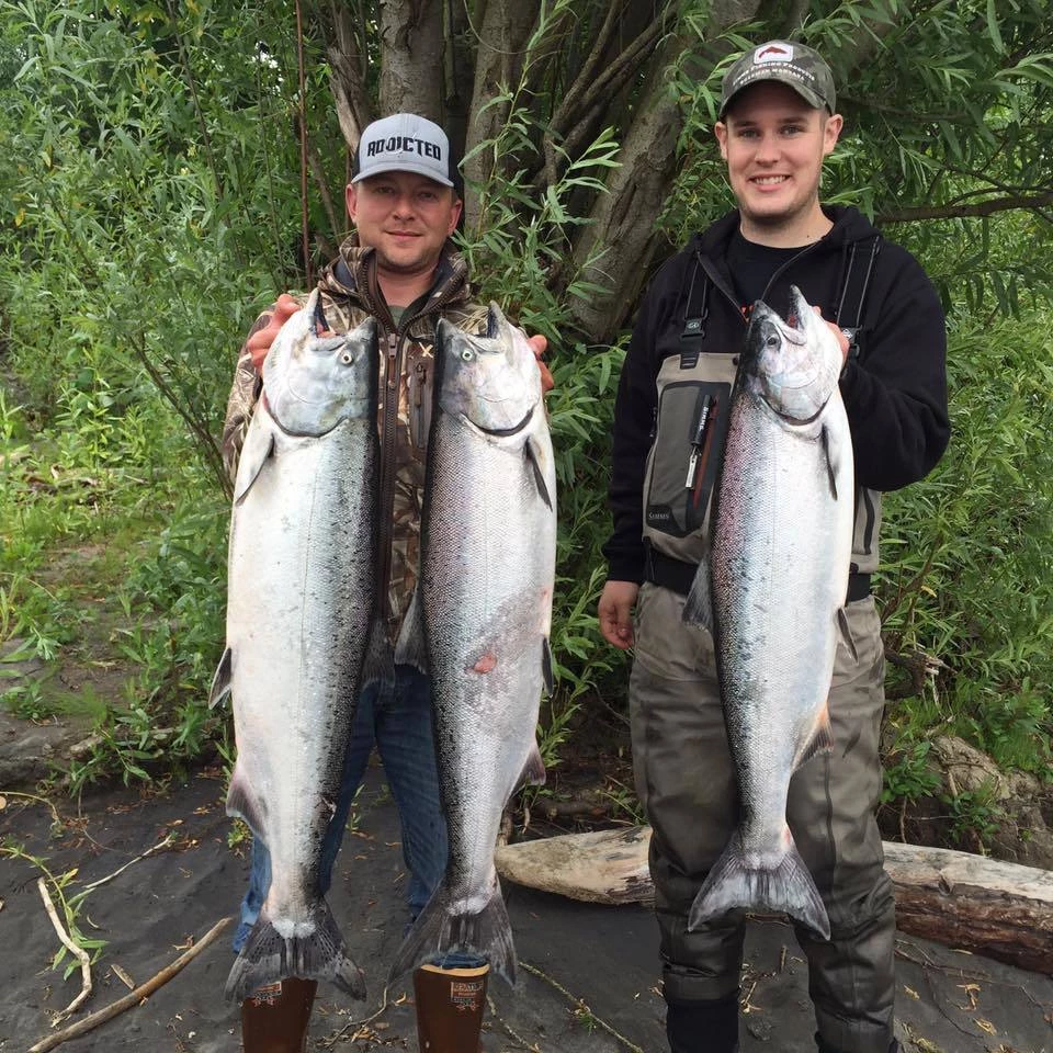 Addicted Fishing Addicted Salmon Blend Oil 12 Addicted Fishing Addicted Salmon Blend Oil