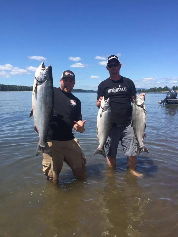 Addicted Fishing Addicted Salmon Blend Oil 11 Addicted Fishing Addicted Salmon Blend Oil