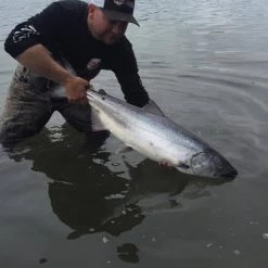 Addicted Fishing Addicted Salmon Blend Oil 19 Addicted Fishing Addicted Salmon Blend Oil