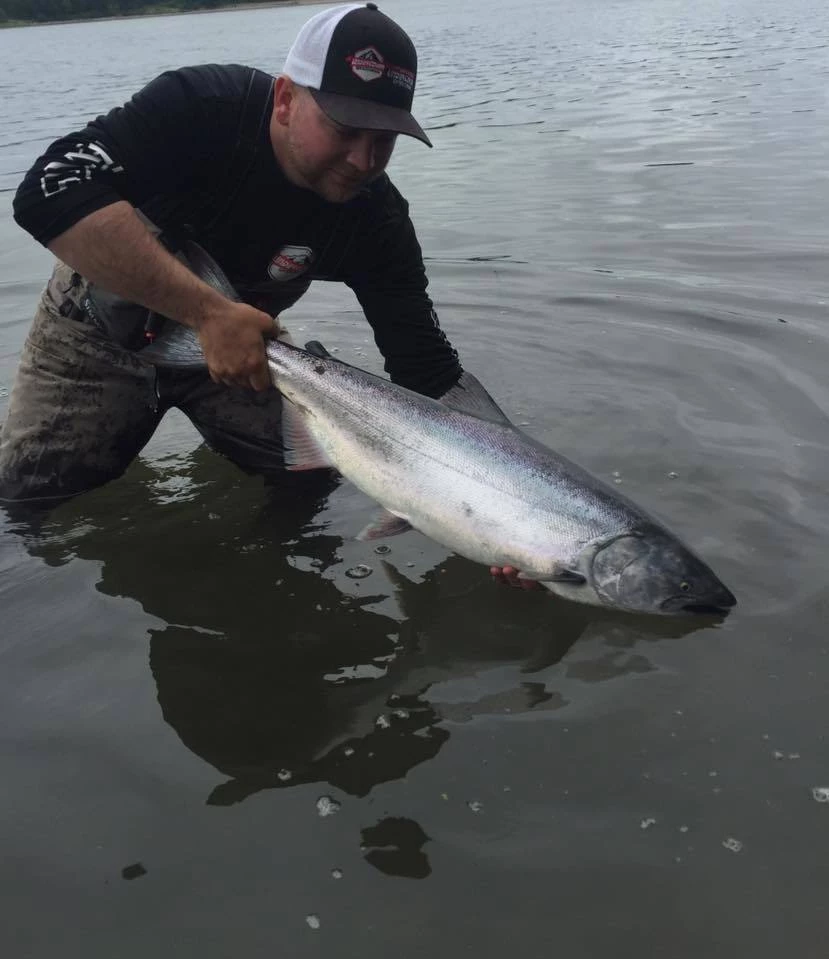 Addicted Fishing Addicted Salmon Blend Oil 10 Addicted Fishing Addicted Salmon Blend Oil