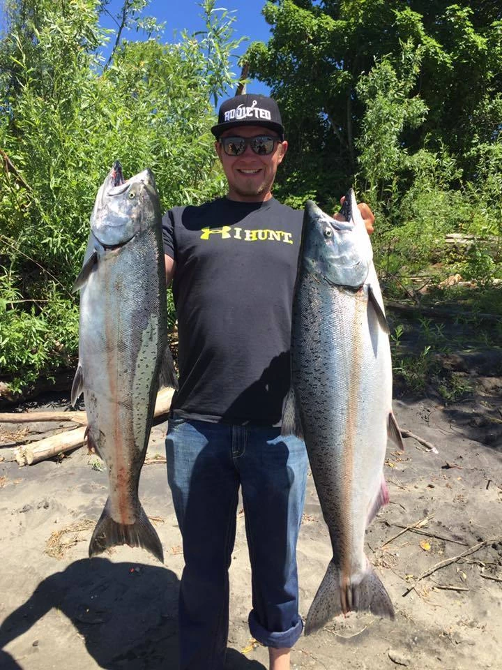 Addicted Fishing Addicted Salmon Blend Oil 9 Addicted Fishing Addicted Salmon Blend Oil