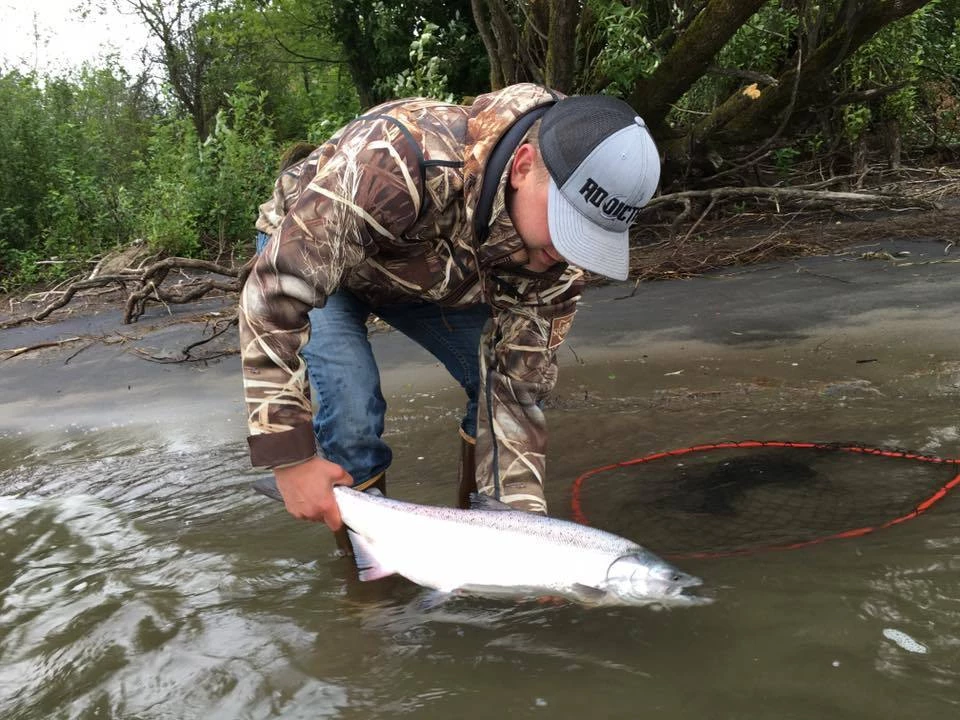 Addicted Fishing Addicted Salmon Blend Oil 6 Addicted Fishing Addicted Salmon Blend Oil