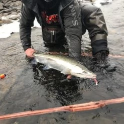 Addicted Fishing Addicted Cradle Net Fishing Nets, Bonkers, & Extras