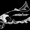 ADX Chinook Decal White