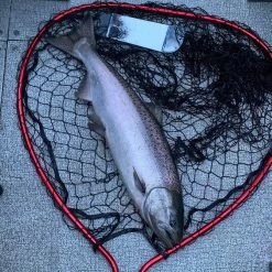 Addicted Fishing Mirror Finish 360 Flasher Salmon Flashers & Spinners