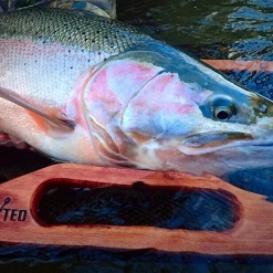 Addicted Fishing Addicted Cradle Net Fishing Nets, Bonkers, & Extras