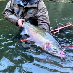 Addicted Fishing Sloppy Smith Steelhead Worms 11 Addicted Fishing Sloppy Smith Steelhead Worms