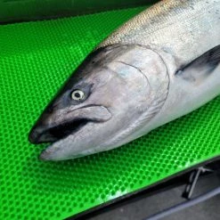 ADX Fishing Nets, Bonkers, & Extras Addicted Green Fillet Away Fish Mat (Limited Edition)