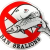 Addicted Fishing Ban Sea Lions Decal 1 Addicted Fishing Ban Sea Lions Decal