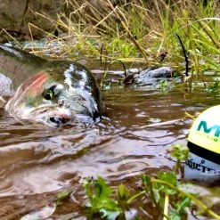 ADX Floats, Jigs, & Jig Heads Addicted Balsa Fixed Float System Chartreuse